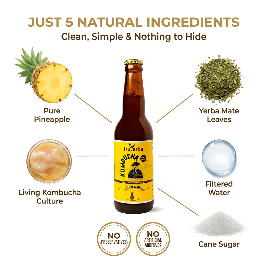 Yerba Mate Kombucha
